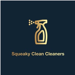 Domestic Cleaning services